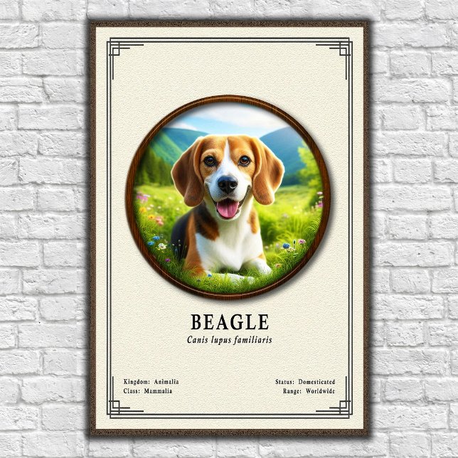 Beagle Zoologie-Serie Poster (Von Creator hochgeladen)