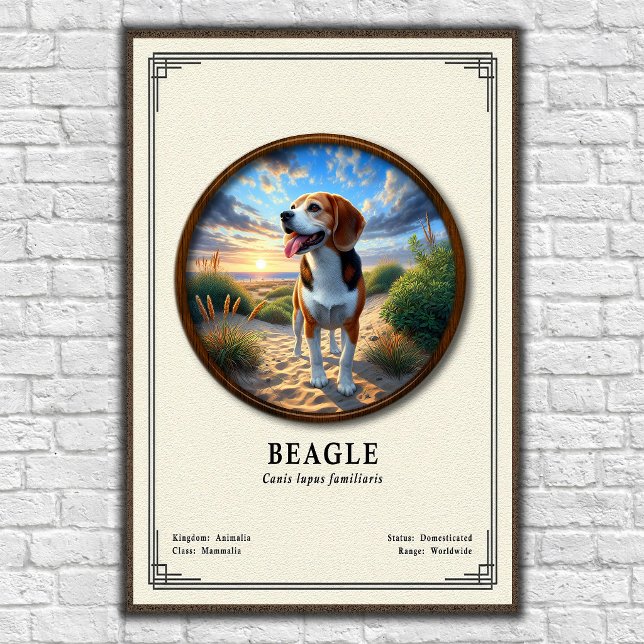 Beagle-Zoologie-Serie Poster (Von Creator hochgeladen)