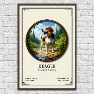 Beagle Zoologie Serie Poster