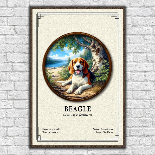 Beagle-Zoologie-Serie Poster (Von Creator hochgeladen)