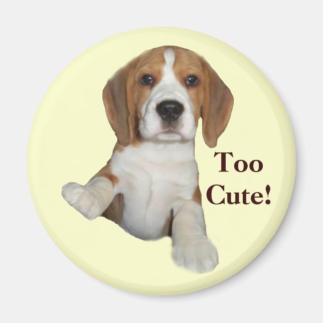 Beagle zu Niedlich Magnet (Vorne)