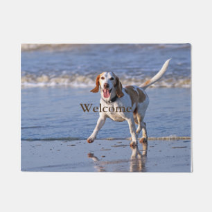Beagle-Zucht-Hund Fußmatte