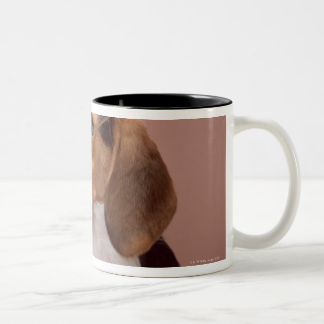 Beagle Zweifarbige Tasse (Rechts)