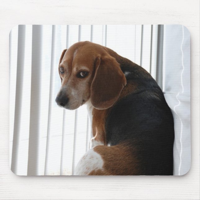 Beaglehaltung Mousepad (Vorne)