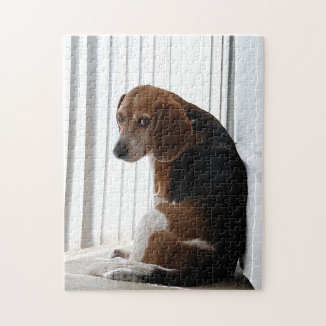 Beaglehaltung Puzzle (Vertikal)