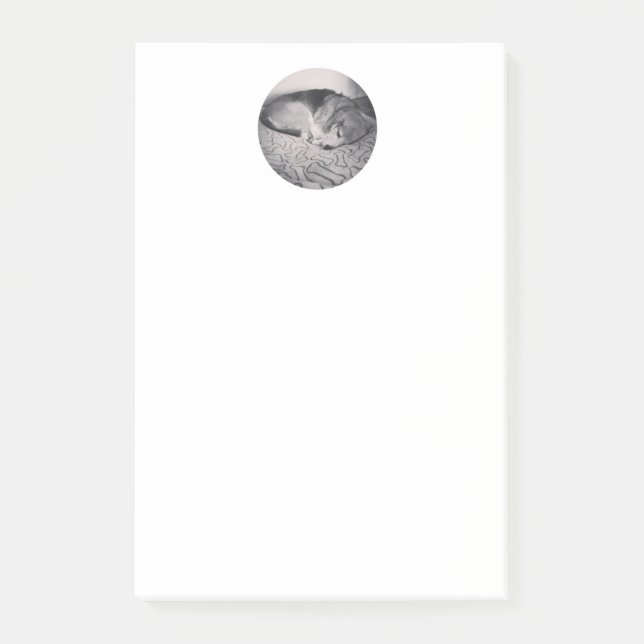 Beaglepost-itanmerkung Post-it Klebezettel (Vorderseite)