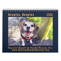 Beagles Beagles Wall calendar 2026