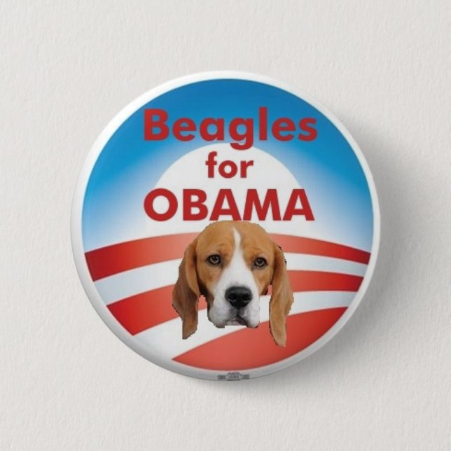 Beagles für Obama Button (Vorderseite)