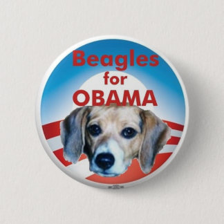 Beagles für Obama Button