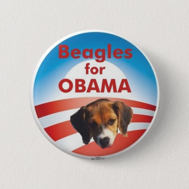 Beagles für Obama Button (Vorderseite)