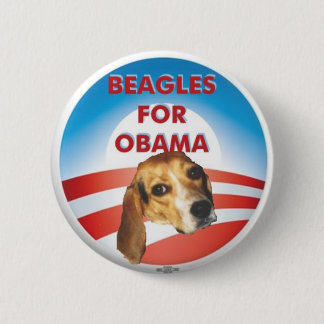 Beagles für Obama Button