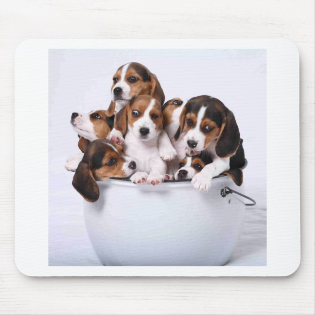 Beagles im Eimer Mousepad (Vorne)