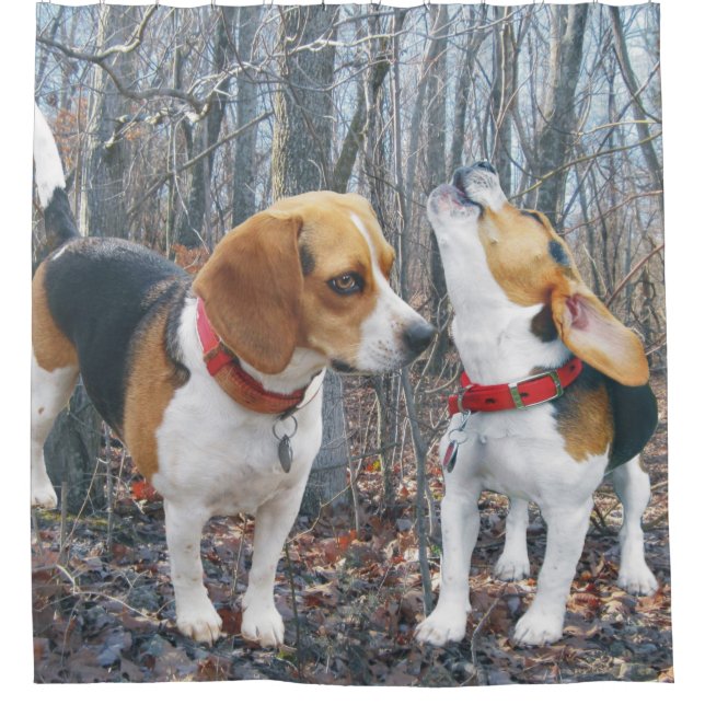 Beagles im Holz Duschvorhang (Vorderseite)
