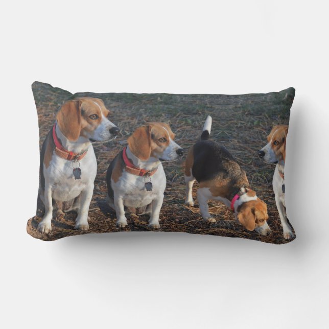 Beagles je mehr desto fröhlicherer Beagle Lendenkissen (Vorderseite)