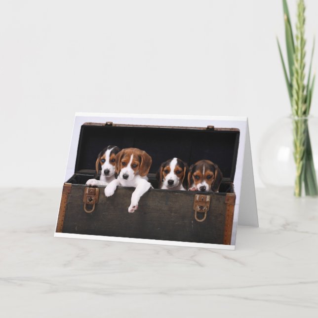 Beagles Karte (Vorderseite)