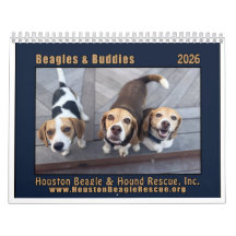 Beagles und Buddies Kalender 2026