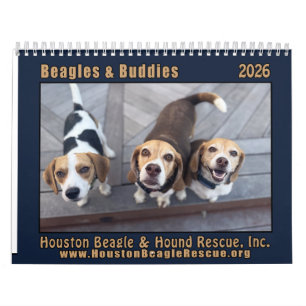 Beagles und Freunde 2026 Kalender