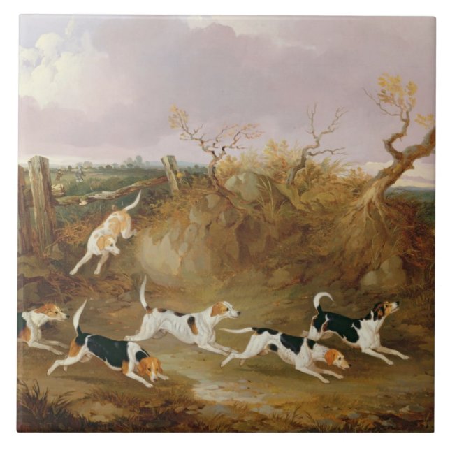 Beagles vollständig…, 1845 (Öl auf Leinwand) Fliese (Vorderseite)