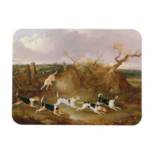 Beagles vollständig…, 1845 (Öl auf Leinwand) Magnet
