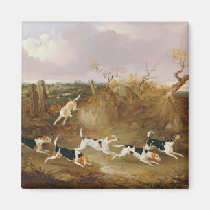 Beagles vollständig…, 1845 (Öl auf Leinwand) Magnet