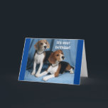 **BEAGLES** WISHING A VERY HAPPY BIRTHDAY** KARTE<br><div class="desc">BEAGLE WISHING A "HAPPY BIRTHDAY" IS A SELTENE THING DON'T YOU THINK. YOU CAN CHANGE THE VERSE AND ADD THE AGE IN SECOND ON ALL MY CARDS AT ALL 9 STORES. AND I WANT TO SAY THANK YOU FOR STOPPING BY!</div>