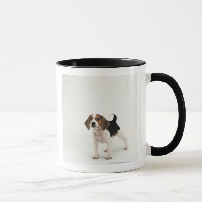 Beaglewelpe Tasse (Rechts)