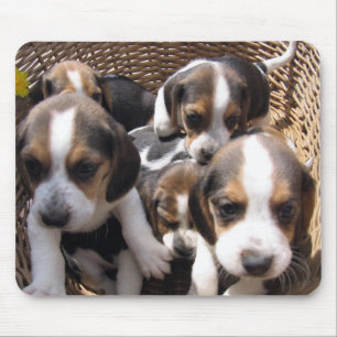 Beaglewelpen-Mausunterlage Mousepad