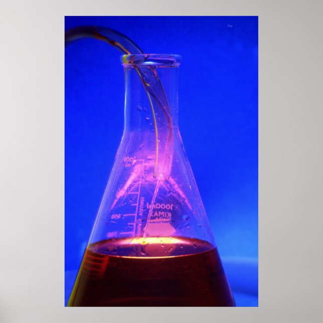 Beaker und Tube Poster (Vorne)