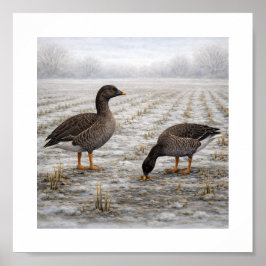 Bean Geese in a Winter Field – Japanese Wild Bird Poster