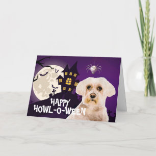 Beängstigend maltesische Terrier Halloween Karte