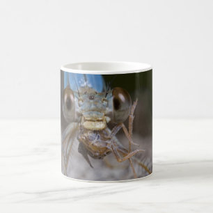 Beängstigende Damselfly-Tasse Tasse