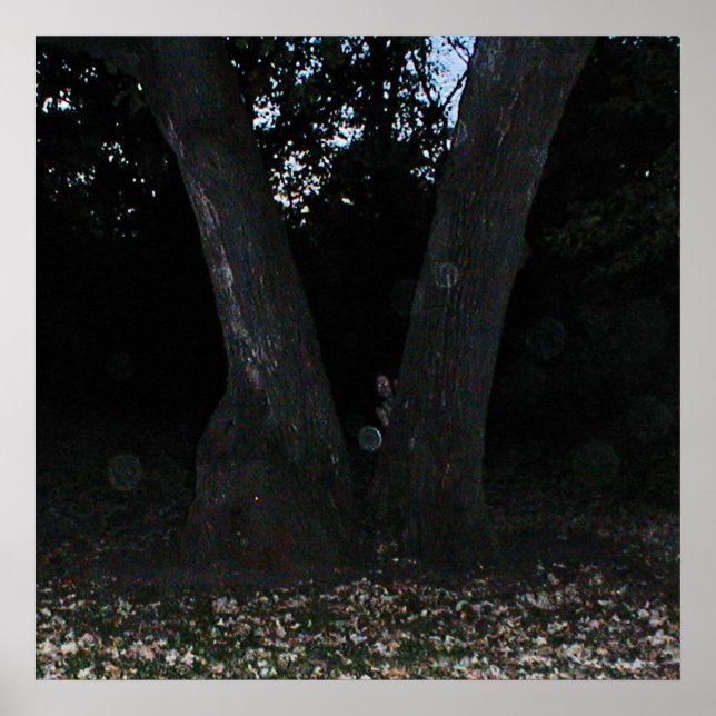 Beängstigende Fee Poster (Vorne)