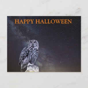 Beängstigende Halloween-Nacht mit Owls Postkarte