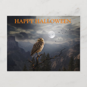Beängstigende Halloween-Nacht mit Owls Postkarte
