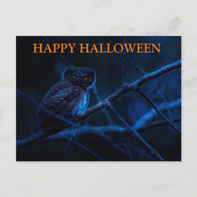 Beängstigende Halloween-Nacht mit Owls-Postkarte Postkarte (Vorderseite)