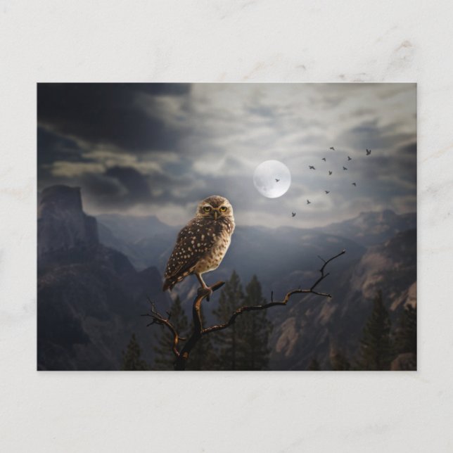 Beängstigende Halloween-Nacht Postkarte (Vorderseite)