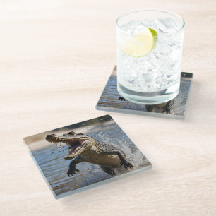 Beängstigende Kiefer: Australisches Krokodil-Leapi Glasuntersetzer