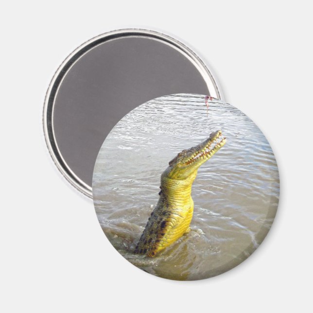 Beängstigende Schnapper: Der Sprung des Krokodils, Magnet (Vorderseite/Rückseite)
