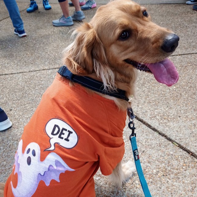 Beängstigender Halloween-Geist - DEI - orange T-Shirt (Lucy modeling this season's scariest Halloween t-shirt)