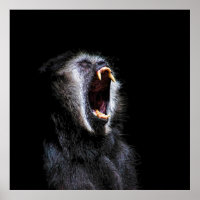 Beängstigender schwarzer Gibbon-Affe Vicious Fange