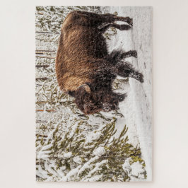 Beängstigendes Bison (Bison bison) - Buffalo - 101 Puzzle