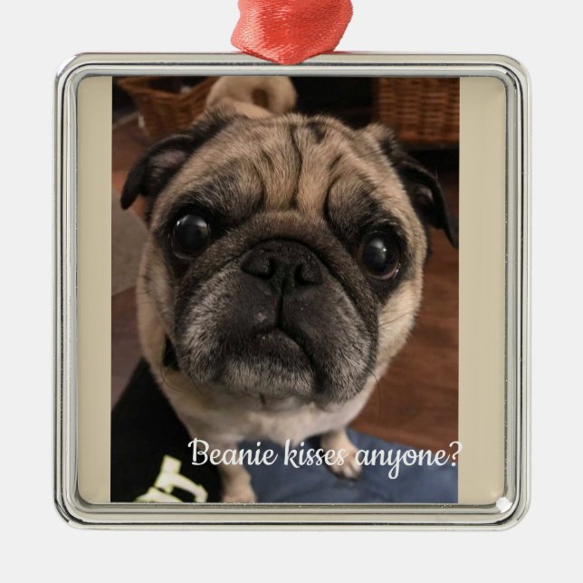 Beanie kissea jedermann? ornament aus metall (Vorne)