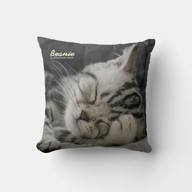 Beanie-Kissen Kissen (Vorderseite)