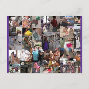 Beanies für unsere Truppen Postkarte