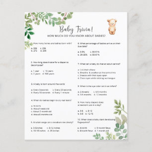 Bear Baby Trivia Baby Showspiel