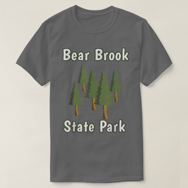 Bear Brook Staat Park New Hampshire Forest Woods C T-Shirt (Design vorne)