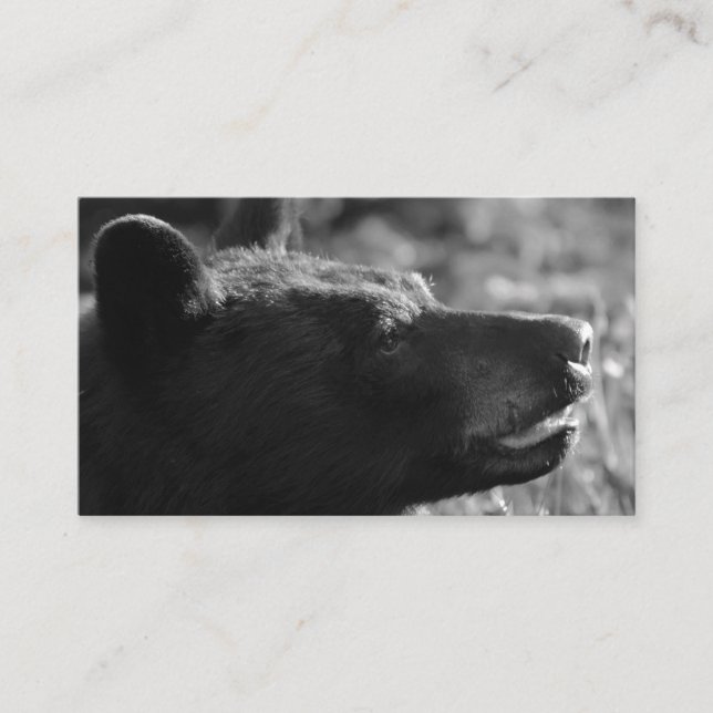 Bear Business Card (eigener Text hinzufügen) Visitenkarte (Vorderseite)
