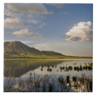 Bear Butte spiegelt sich in Bear Butte Lake in der Fliese