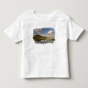 Bear Butte spiegelt sich in Bear Butte Lake in der Kleinkind T-shirt