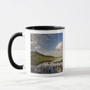 Bear Butte spiegelt sich in Bear Butte Lake in der Tasse